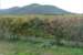 chateau maime les arcs sur argens